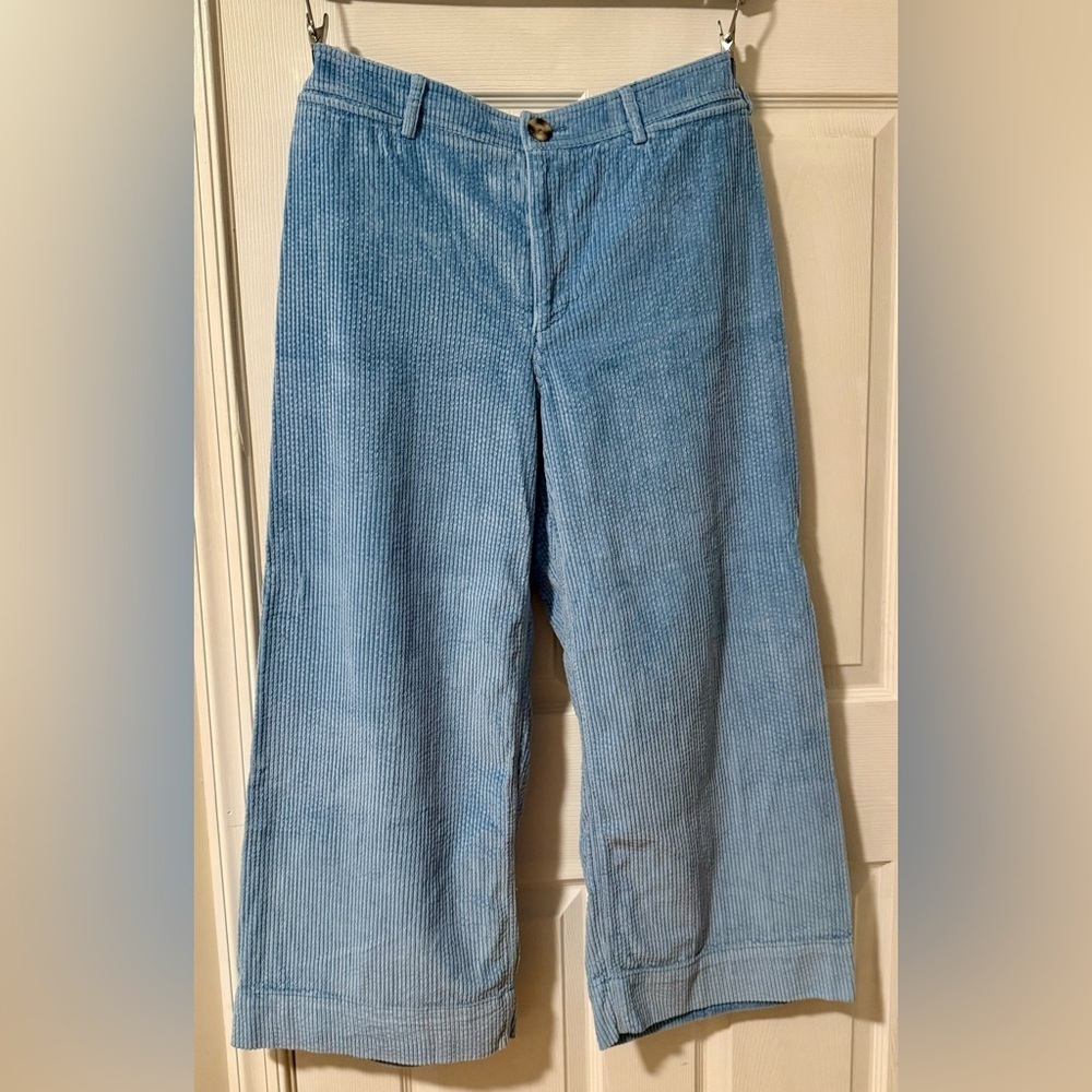 Gently Worn Pilcro and the Letterpress Light Blue Corduroy Trousers